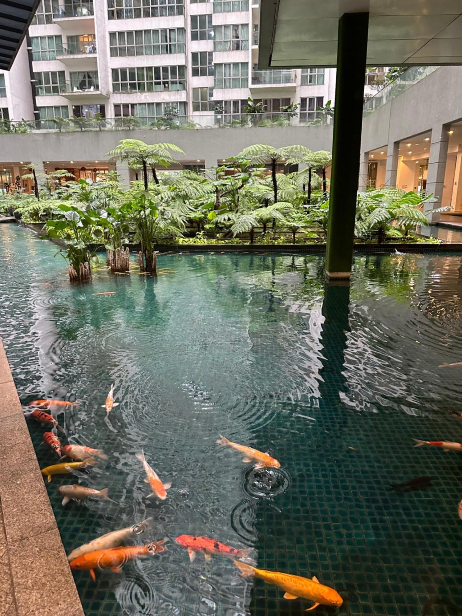 Modern Bauhaus Studio At Regalia Klcc Infinity Pool 吉隆坡 外观 照片
